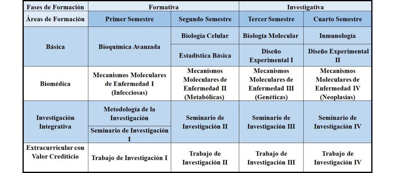 Plan de estudios
